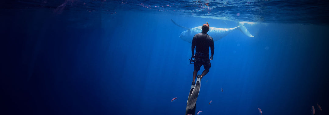 Why Do Surfers Wear Black Wetsuits?