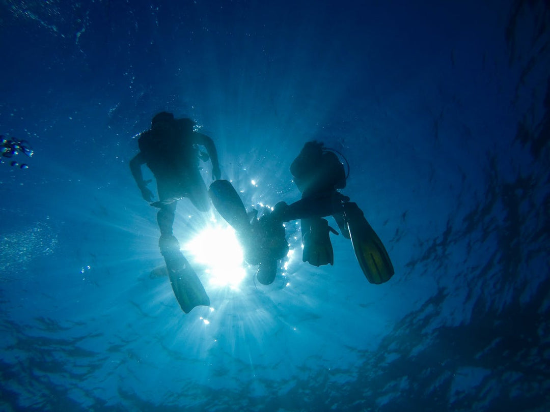 Mastering the Art of Freediving: A Friendly and Informative Guide