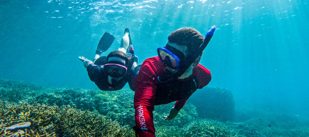 Chillproof vs T2 vs Rapid Dry vs Thermal Flex: Which Sharkskin Wetsuit is Best?