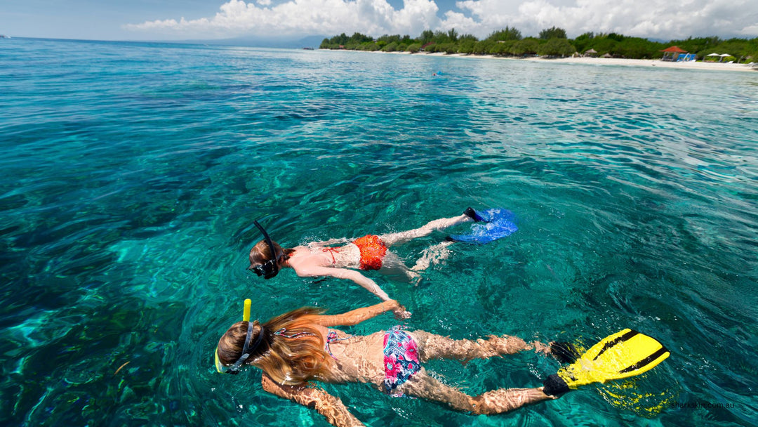 Buddy System in Snorkeling and Diving