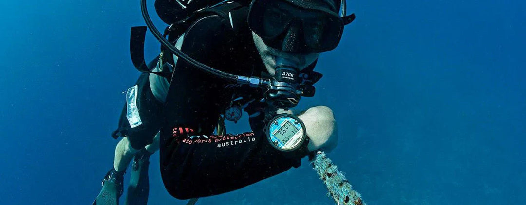 The Winter Ocean Plunge: Why So Many Are Taking the Dive